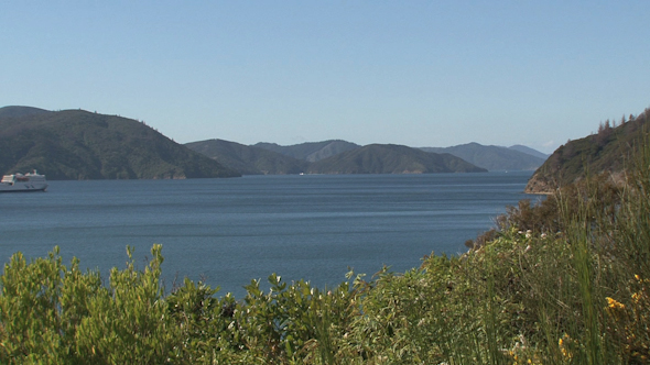 VideoHive Ferry Leaving Picton New Zealand 2 10073272 VideoHive Ferry Leaving Picton New Zealand 2 10073272