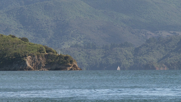 VideoHive Picton New Zealand 13 10073304 VideoHive Picton New Zealand 13 10073304