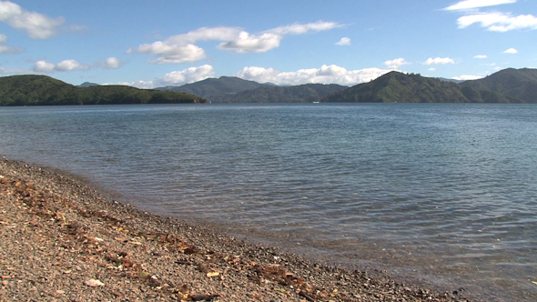 VideoHive Picton New Zealand 14 10073321 VideoHive Picton New Zealand 14 10073321