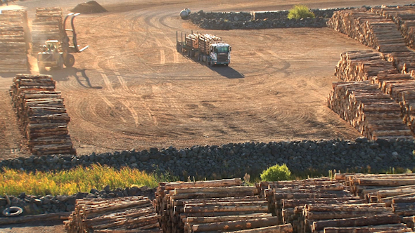 VideoHive Wood Transport 3 10073349 VideoHive Wood Transport 3 10073349