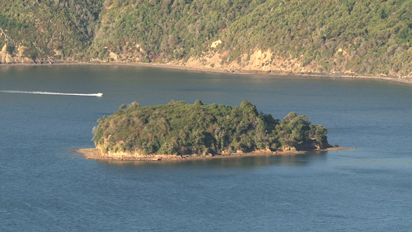 VideoHive Picton New Zealand 6 10073354 VideoHive Picton New Zealand 6 10073354