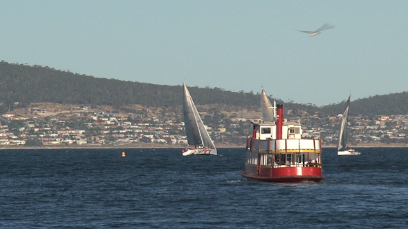 VideoHive Tasmania 057 10073908 VideoHive Tasmania 057 10073908