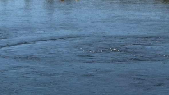 VideoHive Pupu Springs New Zealand 3 10073911 VideoHive Pupu Springs New Zealand 3 10073911