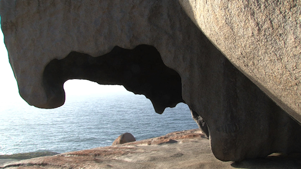 VideoHive Kangaroo Island 028 10074158 VideoHive Kangaroo Island 028 10074158