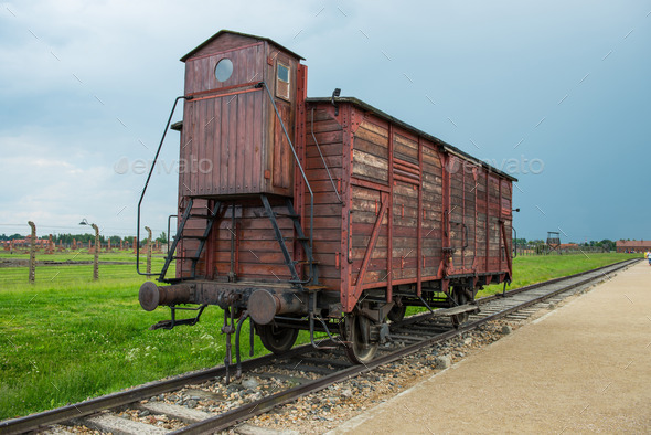 Holocaust Death Camp cattle car train