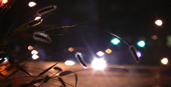 Rainy Night Road HD Rainy Night Road HD