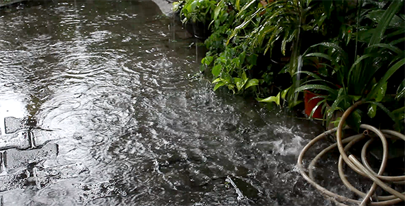 Raining in the Backyard 2 Raining in the Backyard 2