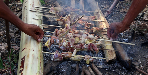 Barbecue in the Nature 1 Barbecue in the Nature 1