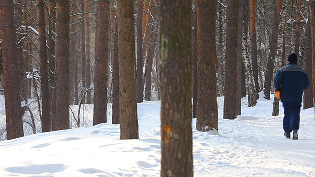 Winter jogging Winter jogging