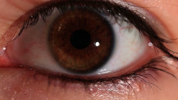 VideoHive Eye 10093265 VideoHive Eye 10093265