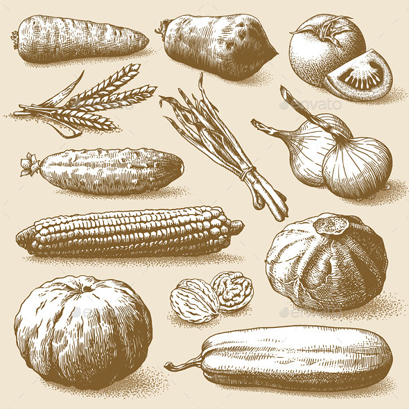 Vegetables Fruits and Plants Vector