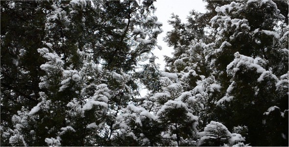 VideoHive Snow 10104590 VideoHive Snow 10104590