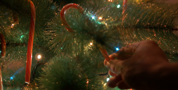VideoHive Christmas Tree Decorating 10106718 VideoHive Christmas Tree Decorating 10106718