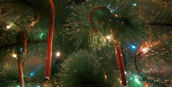 VideoHive Christmas Tree Vertical 10106729 VideoHive Christmas Tree Vertical 10106729