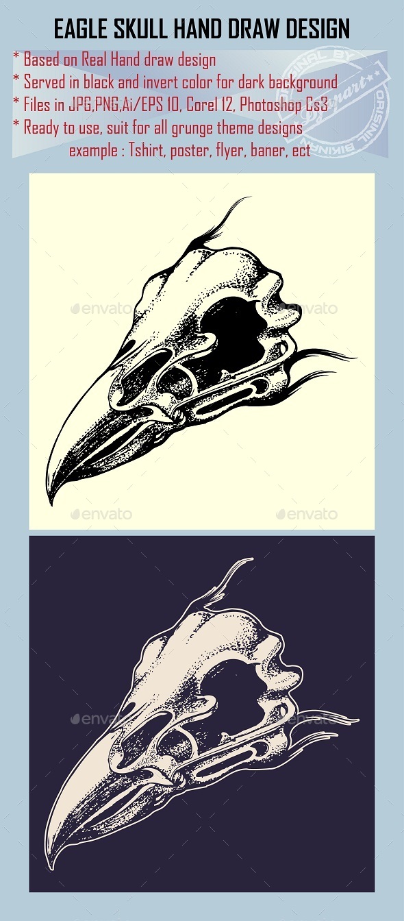 Eagle Skull Hand draw Design Element (Animals)