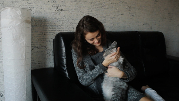 VideoHive Girl Play With Grey Cat On Couch 10113074 VideoHive Girl Play With Grey Cat On Couch 10113074