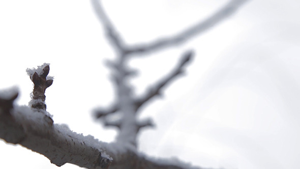 VideoHive Frozen 4 10123573 VideoHive Frozen 4 10123573