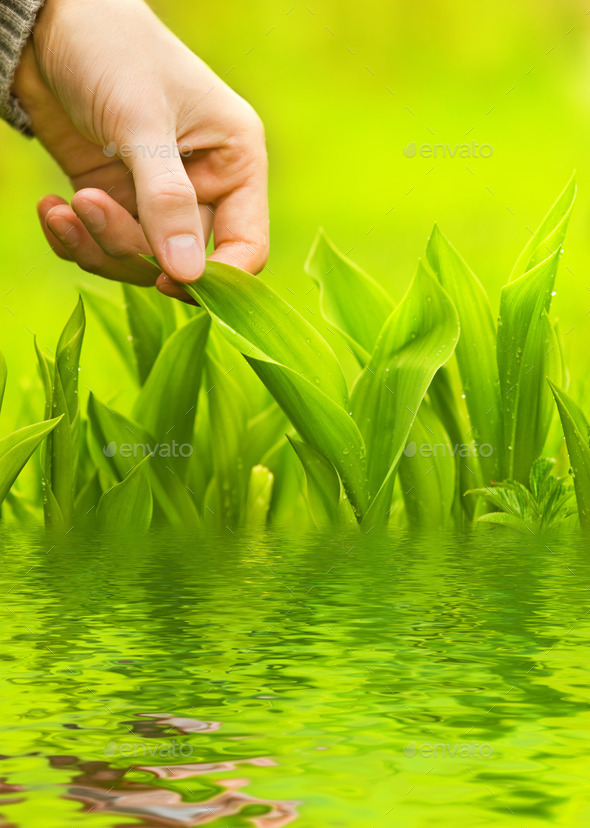 Human hand touching green grass (Misc) Photo Download