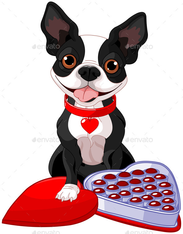 GraphicRiver Valentine Day Boston Terrier 10132273 GraphicRiver Valentine Day Boston Terrier 10132273