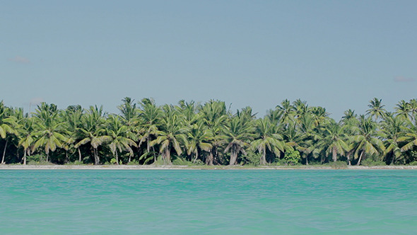 VideoHive Sea Shore With Palms And Clear Blue Water 10133581 VideoHive Sea Shore With Palms And Clear Blue Water 10133581