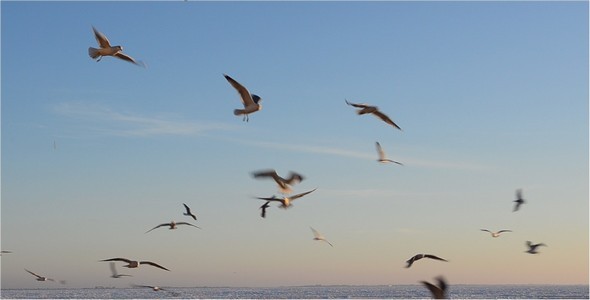 VideoHive Flight 2 10135731 VideoHive Flight 2 10135731