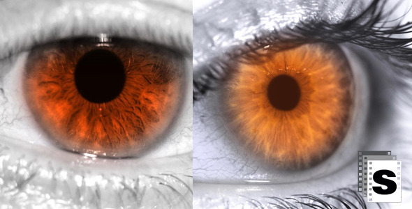 VideoHive Eye Red 10140162 VideoHive Eye Red 10140162