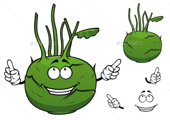 GraphicRiver Fresh Vegetable Kohlrabi Cabbage Cartoon 10140321 GraphicRiver Fresh Vegetable Kohlrabi Cabbage Cartoon 10140321