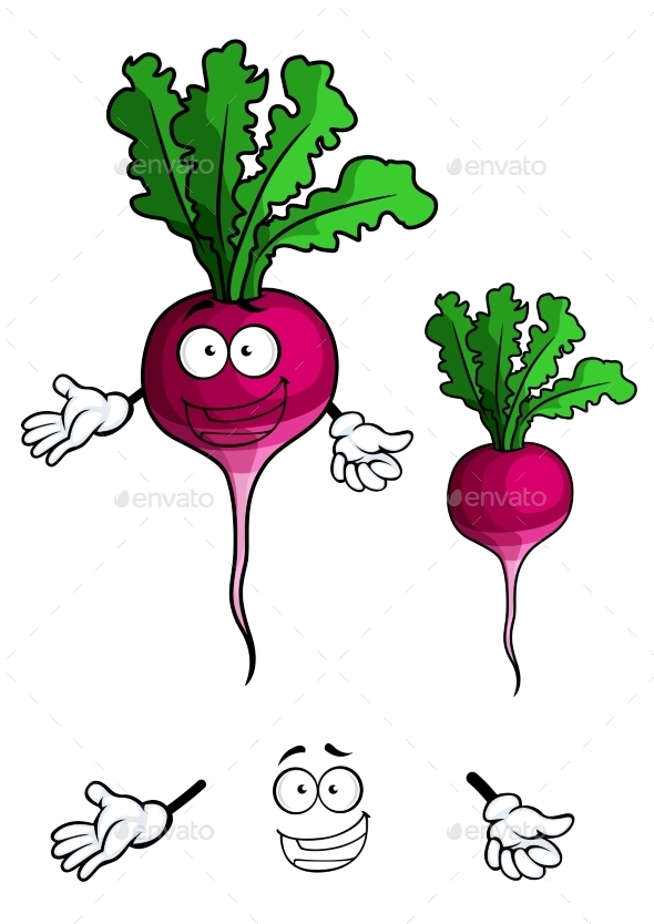 GraphicRiver Smiling Beet Vegetable in Cartoon Style 10140388 GraphicRiver Smiling Beet Vegetable in Cartoon Style 10140388