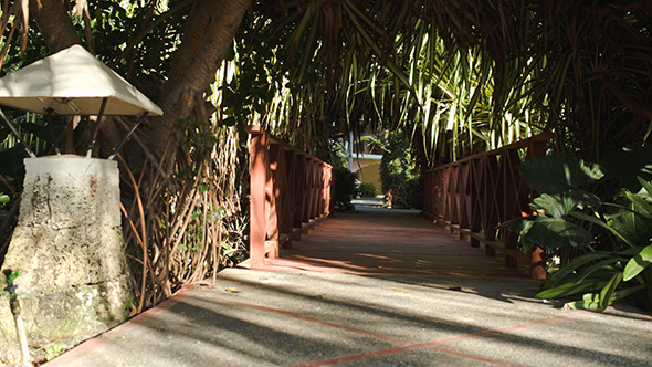 VideoHive Crossing Small Wooden Bridge Among The Palm Branch 10143778 VideoHive Crossing Small Wooden Bridge Among The Palm Branch 10143778