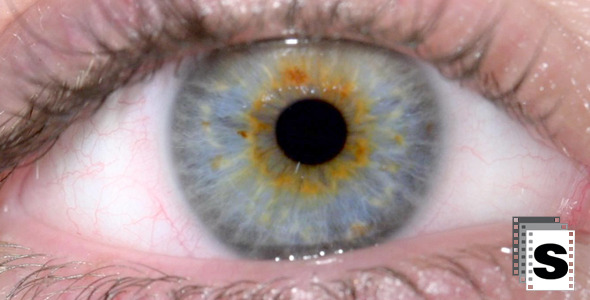 VideoHive Eye 10148124 VideoHive Eye 10148124