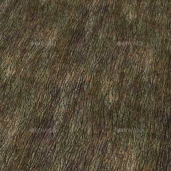 3DOcean Tree Bark Texture Seamless 10148506 3DOcean Tree Bark Texture Seamless 10148506
