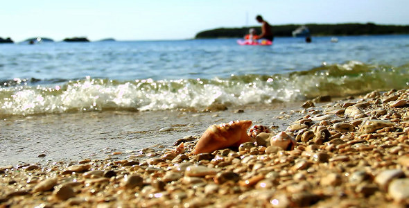 VideoHive Having Fun on the Beach 10153996 VideoHive Having Fun on the Beach 10153996
