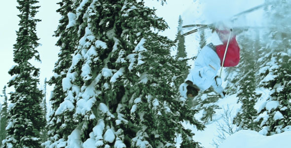Back Flip Back Flip