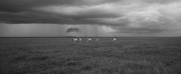 Moopress profile