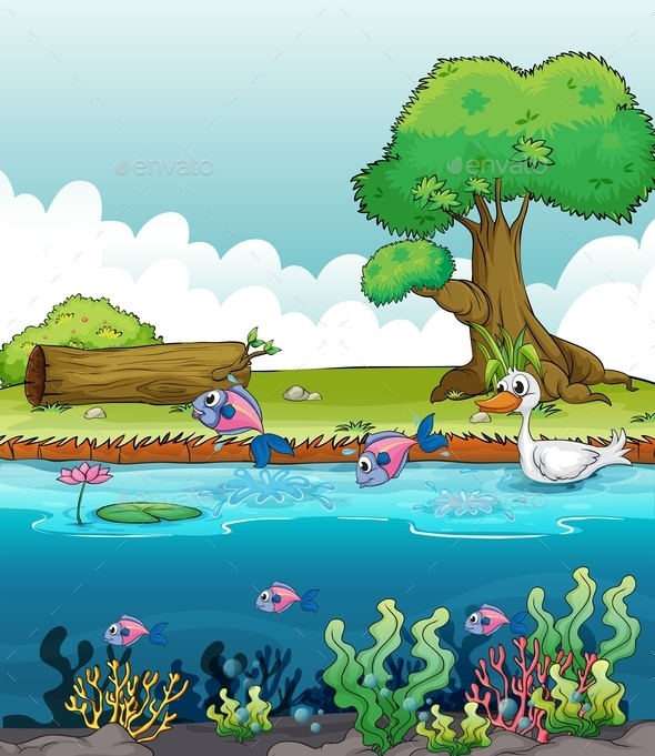 GraphicRiver Sea Creatures with a Duck 10176909 GraphicRiver Sea Creatures with a Duck 10176909