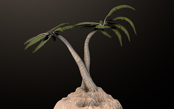 Beach Palm Tree - 3DOcean Item for Sale