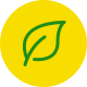 thewildlife