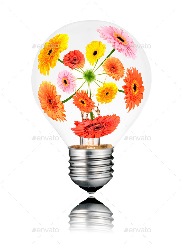 Light Bulb with Flowers Growing Inside Isolated (Misc) Photo Download