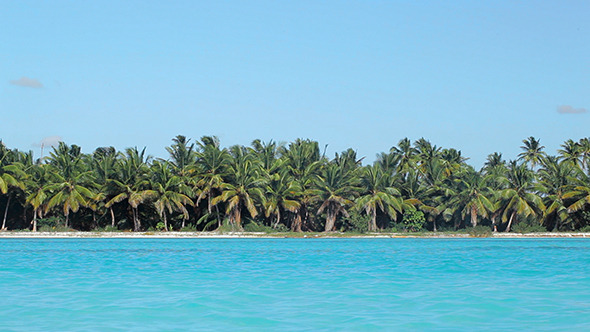 Tropical Scene With Palms And Blue Sea Tropical Scene With Palms And Blue Sea