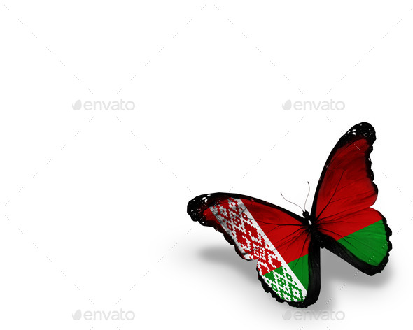 Belarusian flag butterfly, isolated on white background (Misc) Photo Download