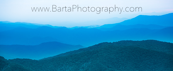 bartaphotography