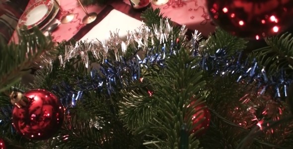 Christmas Tree Timelapse