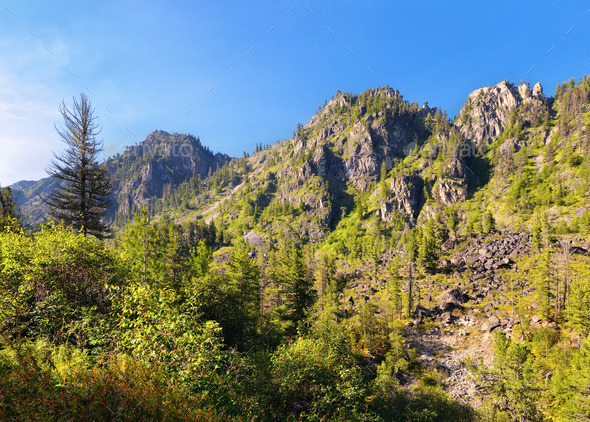 Mountain Forest Landscape (Misc) Photo Download