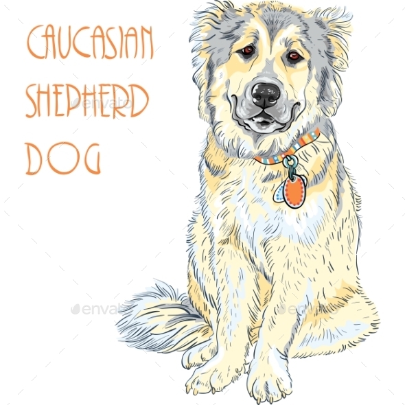 GraphicRiver Caucasian Shepherd Dog Breed 10227543 GraphicRiver Caucasian Shepherd Dog Breed 10227543