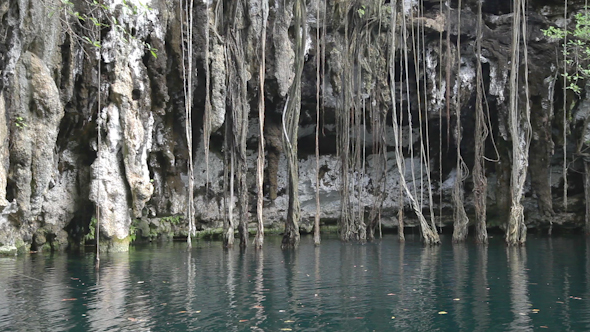 Cenote Sinkhole Mexico Wonder Clear Water 2 Cenote Sinkhole Mexico Wonder Clear Water 2