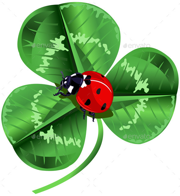 GraphicRiver St Patrick Day Three Leafed Clover and Ladybug 10230084 GraphicRiver St Patrick Day Three Leafed Clover and Ladybug 10230084