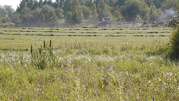 Harvest Season 5 Harvest Season 5