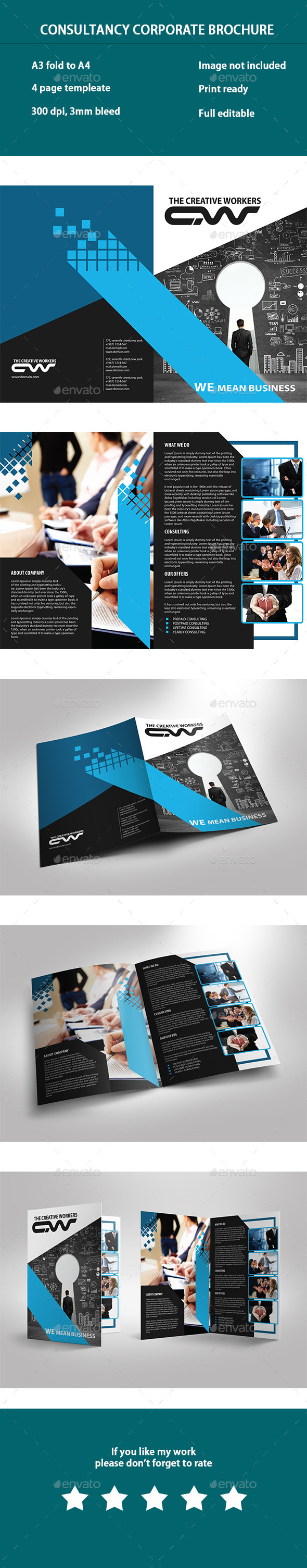 Consultancy Business Brochure (Corporate)