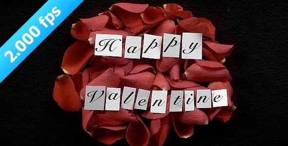 Flying Blossoms And Letters Are Sending A Message Flying Blossoms And Letters Are Sending A Message
