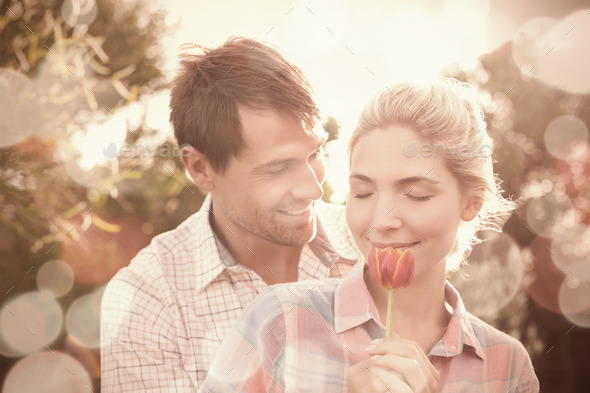 Close-up of a smiling young couple holding a flower in the park (Misc) Photo Download